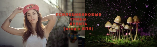 гидра Беломорск