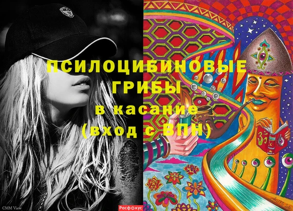 твердый Богородицк