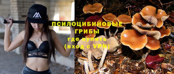 прущий лед Белокуриха
