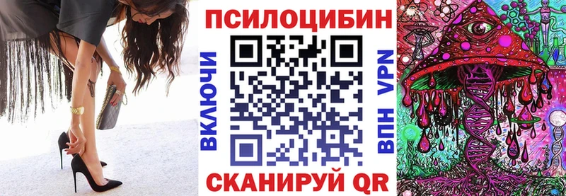 закладки  Бирюч  Галлюциногенные грибы MAGIC MUSHROOMS 